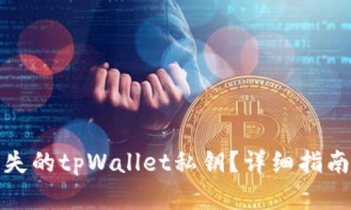 如何找回丢失的tpWallet私钥?详细指南与解决方案