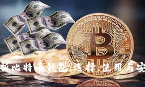 全面解析比特币钱包:选择、使用与安全策略