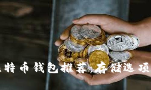 比较安全的比特币钱包推荐：存储选项及安全性分析