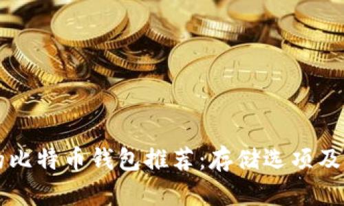 比较安全的比特币钱包推荐：存储选项及安全性分析