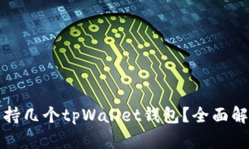 一个手机能支持几个tpWallet钱包?全面解析与实用技巧