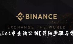 如何在tpWallet中查询公钥？详细步骤与