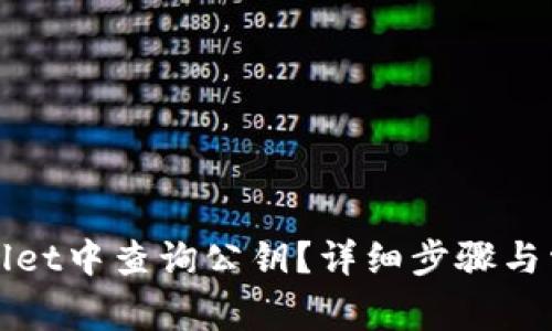 如何在tpWallet中查询公钥？详细步骤与常见问题解答