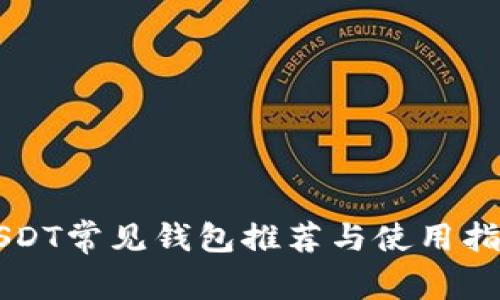 USDT常见钱包推荐与使用指南