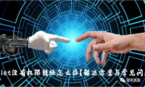 tpWallet没有权限转账怎么办?解决方案与常见问题解析
