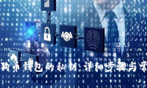 如何导入狗狗币钱包的私钥:详细步骤与常见问题解答