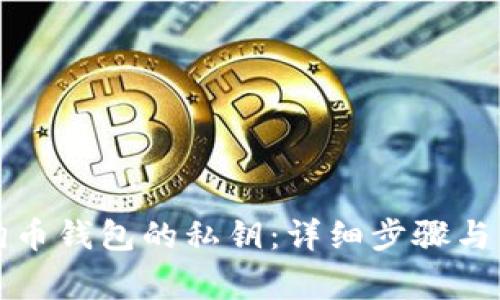 如何导入狗狗币钱包的私钥:详细步骤与常见问题解答