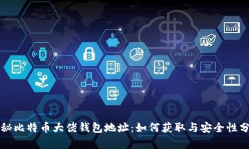 揭秘比特币大佬钱包地址:如何获取与安全性分析