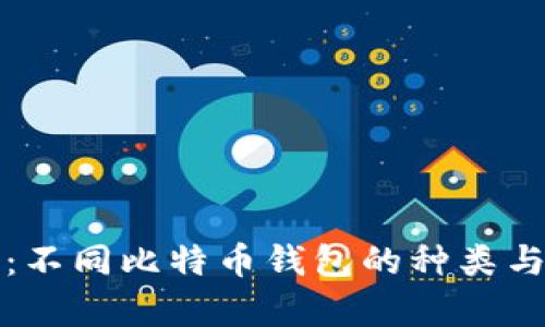 全面解析:不同比特币钱包的种类与选择指南