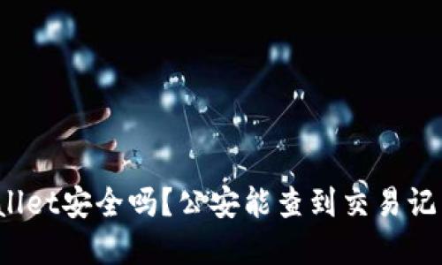 tpWallet安全吗?公安能查到交易记录吗?