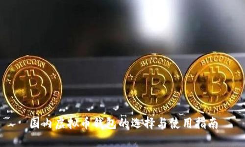 国内虚拟币钱包的选择与使用指南
