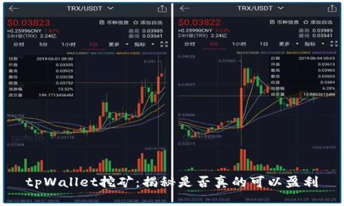 tpWallet挖矿：揭秘是否真的可以盈利