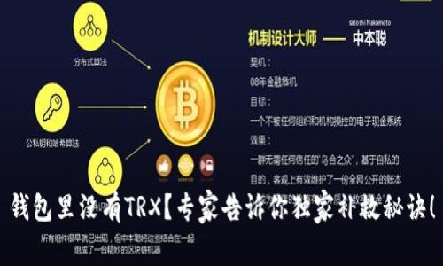 钱包里没有TRX？专家告诉你独家补救秘诀！