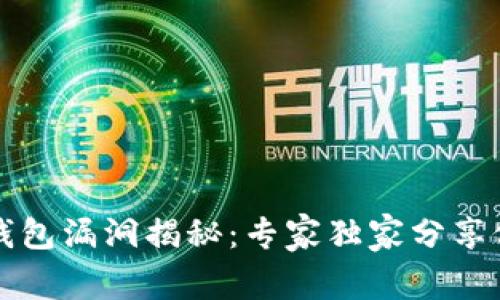比特币钱包漏洞揭秘：专家独家分享修复秘诀