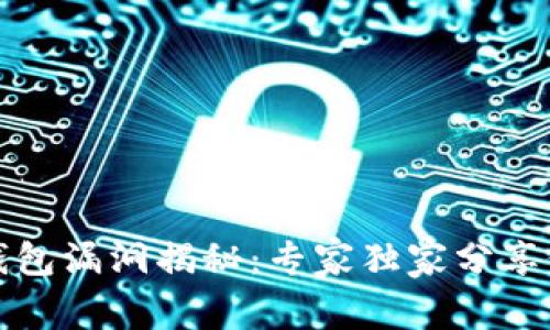 比特币钱包漏洞揭秘：专家独家分享修复秘诀