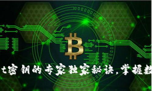 揭秘tpWallet密钥的专家独家秘诀，掌握数字资产安全！
