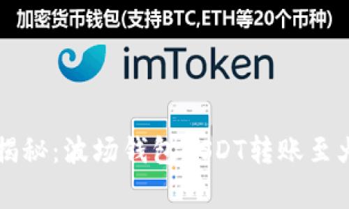 专家独家揭秘：波场钱包USDT转账至火币的秘诀