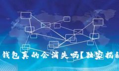 专家揭秘：比特币钱包真的会消失吗？