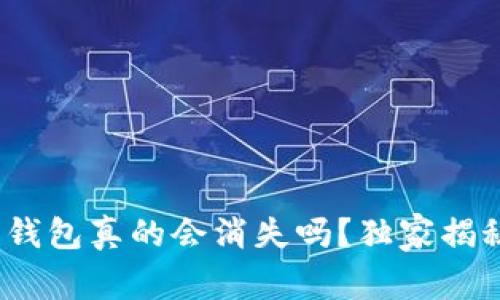 专家揭秘：比特币钱包真的会消失吗？独家揭秘其未来发展秘诀