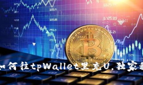 专家教你：如何往tpWallet里充U，独家秘诀大公开！