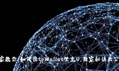 专家教你：如何往tpWallet里充U，独家秘诀大公开！