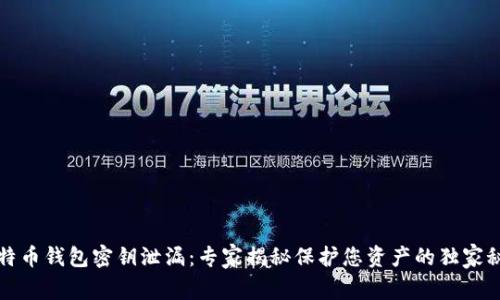 比特币钱包密钥泄漏：专家揭秘保护您资产的独家秘诀