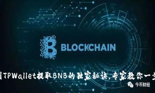 币安到TPWallet提取BNB的独家秘诀，专家教你一步到位！