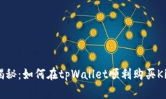 专家独家揭秘：如何在tpWallet顺利购买