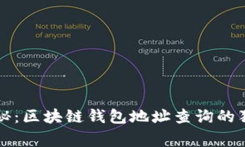 专家揭秘：区块链钱包地址查询的独家秘诀