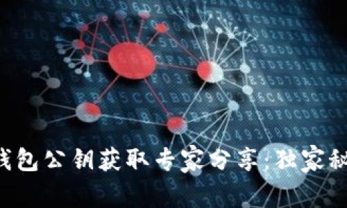 比特币钱包公钥获取专家分享：独家秘诀揭秘！