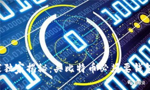 专家独家揭秘：买比特币必须要钱包吗？