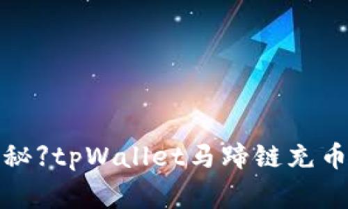 【专家独家揭秘】tpWallet马蹄链充币的终极秘诀！