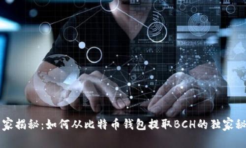 专家揭秘：如何从比特币钱包提取BCH的独家秘诀