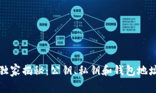 比特币专家独家揭秘：公钥、私钥和钱包地址的终极秘诀