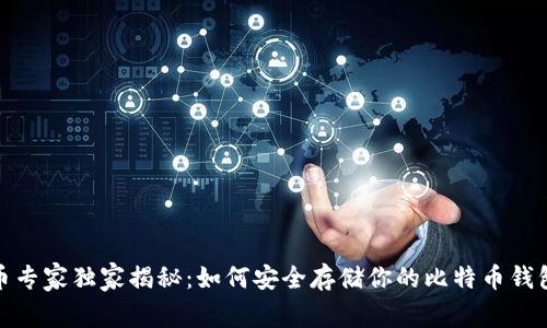 比特币专家独家揭秘：如何安全存储你的比特币钱包资金