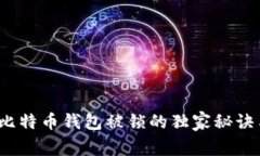 专家揭秘：比特币钱包被锁的独家秘诀与解决方