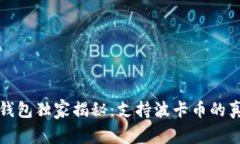 比特派钱包独家揭秘：支持波卡币的真