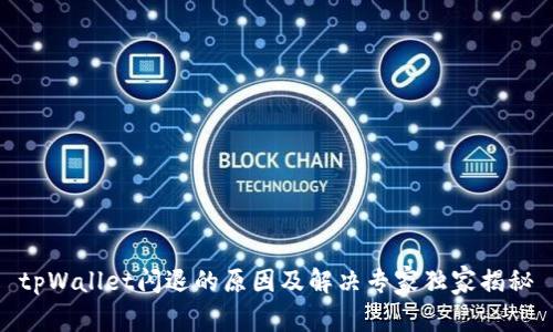 tpWallet闪退的原因及解决专家独家揭秘
