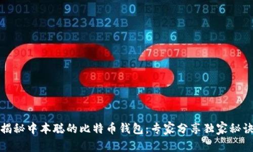 揭秘中本聪的比特币钱包：专家分享独家秘诀