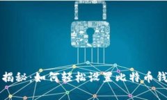 专家独家揭秘：如何轻松设置比特币钱包的秘诀