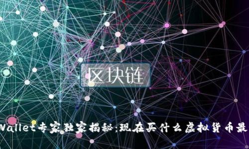tpWallet专家独家揭秘：现在买什么虚拟货币最好？