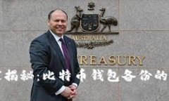 专家独家揭秘：比特币钱包备份的终极秘诀