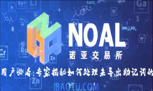 tpWallet用户必看：专家揭秘如何处理未导出助记词的独家秘诀