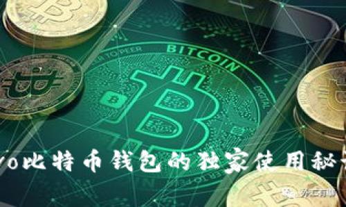 专家揭秘：vivo比特币钱包的独家使用秘诀与安全保障