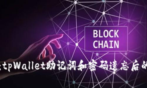专家分享：tpWallet助记词和密码遗忘后的独家秘诀