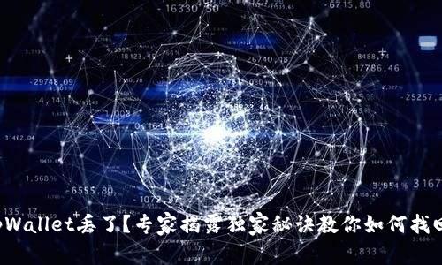 tpWallet丢了？专家揭露独家秘诀教你如何找回！
