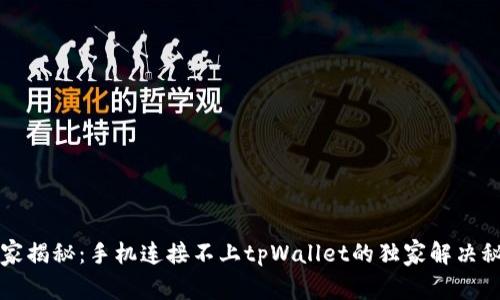 专家揭秘：手机连接不上tpWallet的独家解决秘诀