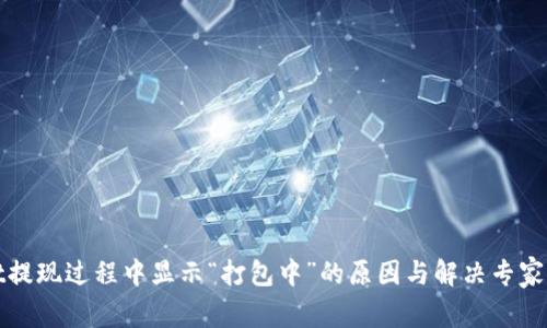 tpWallet提现过程中显示“打包中”的原因与解决专家独家秘诀