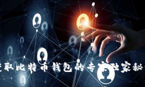 获取比特币钱包的专家独家秘诀