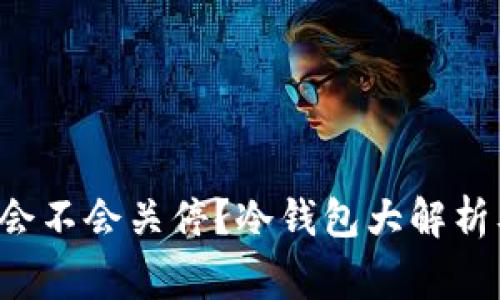 专家揭秘：tpWallet会不会关停？冷钱包大解析及其优缺点独家分享